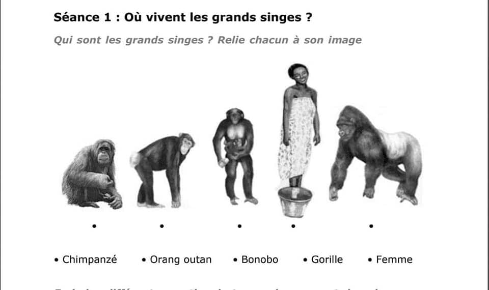 La imagen tiene un atributo ALT vacío; su nombre de archivo es image-49.png